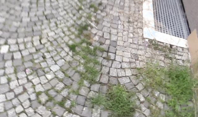 Debt Dandy: Wounded Whoremaster's Welfare Woes