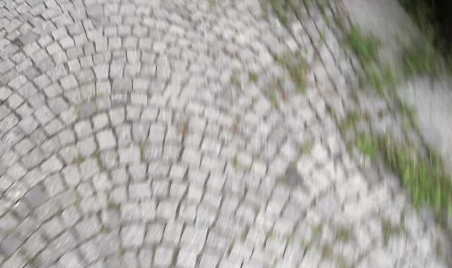 Debt Dandy: Wounded Whoremaster's Welfare Woes