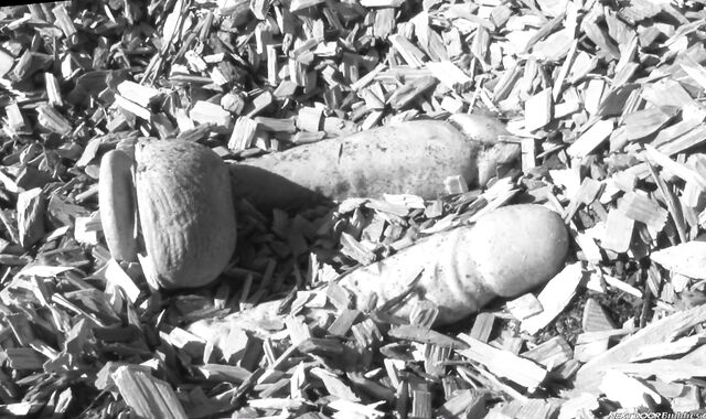 Next Door Homies: Bargaining with a Pulverizing Donk