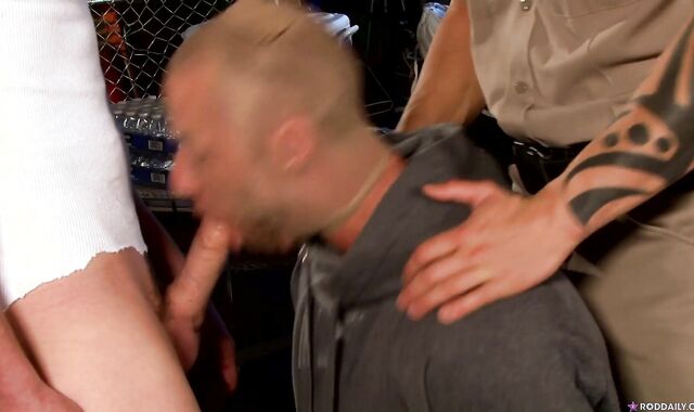 Dinky Daily: Stark v Daily, Cops Take the Criminal to Court