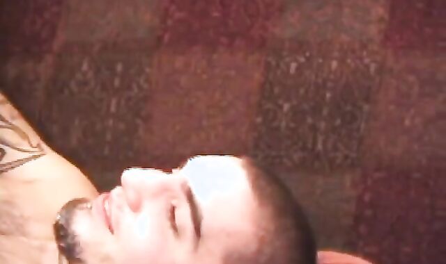 Deifant Top To Bottom