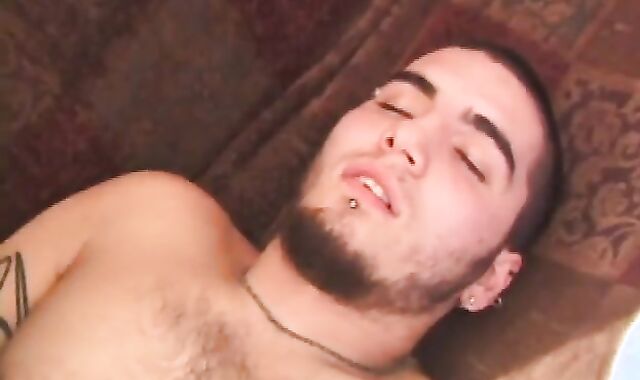 Deifant Top To Bottom