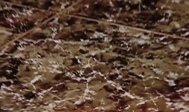 glamorous grizzlies having enrapturing intercourse