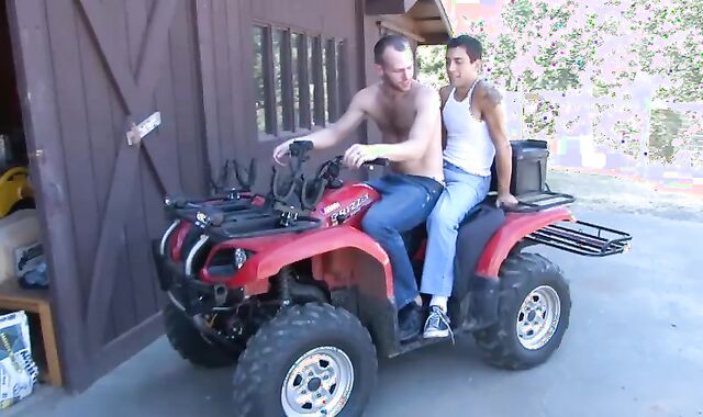 Next Door Pals: Farmyard Madness in Total Wag