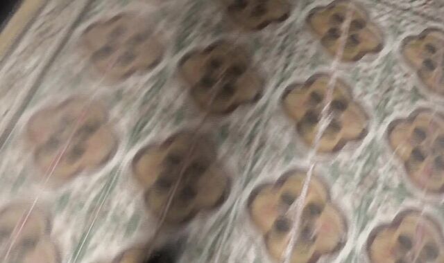 Debt Dandy: Debt-Paying Sausages and Sucky Graciousness