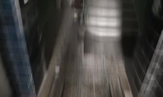 Debt Dandy: Debt-Paying Sausages and Sucky Graciousness