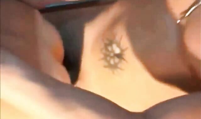 Tw-nks plough At The Bar