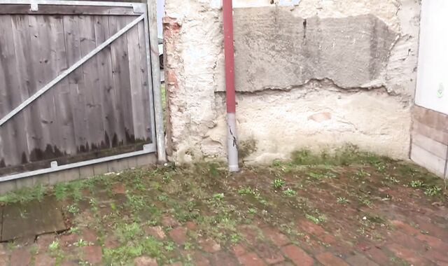 Debt Dandy: An Incomplete Project and Its Explicit Resolution