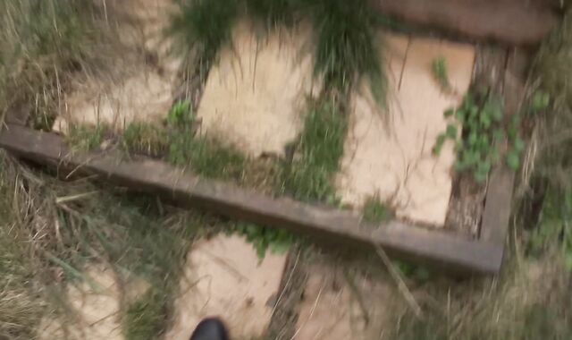 Debt Dandy: An Incomplete Project and Its Explicit Resolution