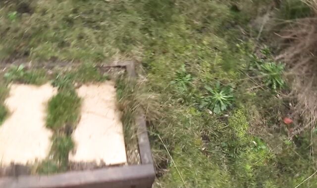 Debt Dandy: An Incomplete Project and Its Explicit Resolution