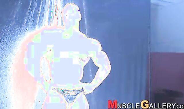 Ludovic And Gregory Bogaert