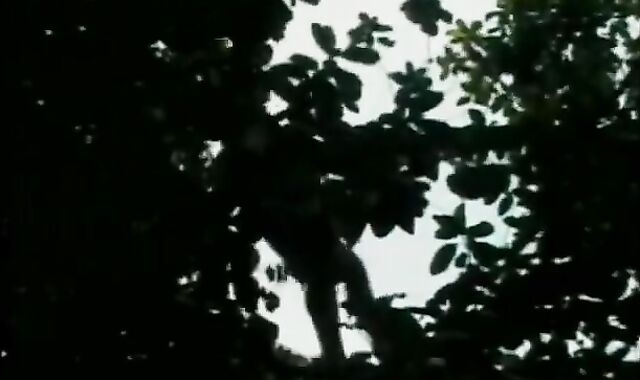 Tail Gators - Episode 1