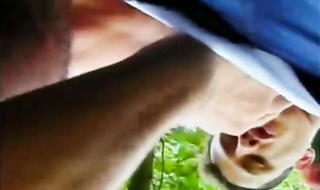 Tail Gators - Episode 1