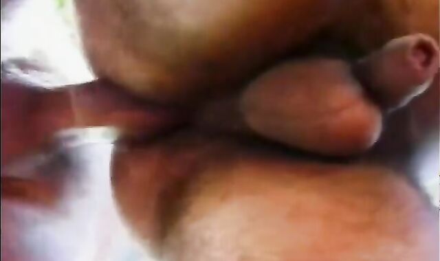 Tail Gators - Episode 1