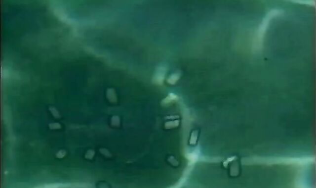 GI weenies - Episode five - HIS pin