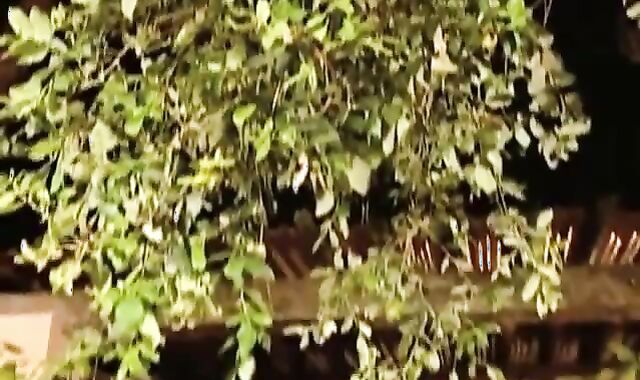 lustful beefsticks pounding outside after sun bathing