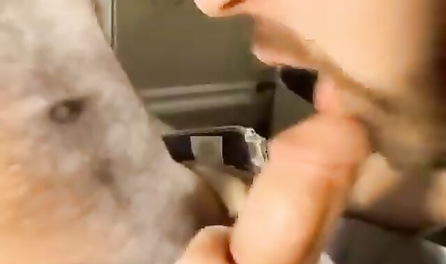 Lotino Got torn up Firm