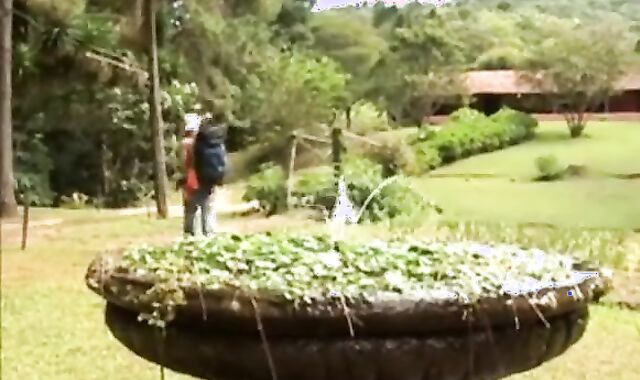 If I get to Walk, let us Go For A Rail