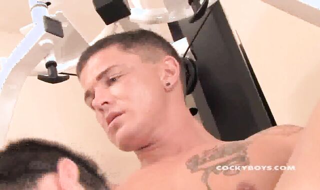 S3batian Y0ung plowed