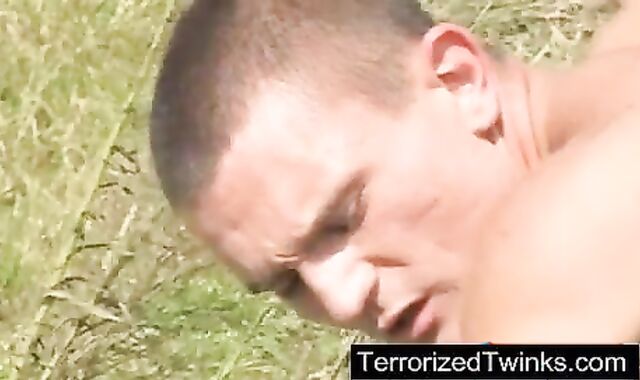 these meatpipes receive coarse with each other