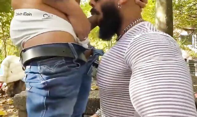 RFC HotPark Viktor Rom And hirsute Sam