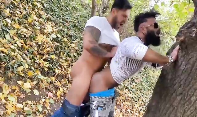 RFC HotPark Viktor Rom And hirsute Sam