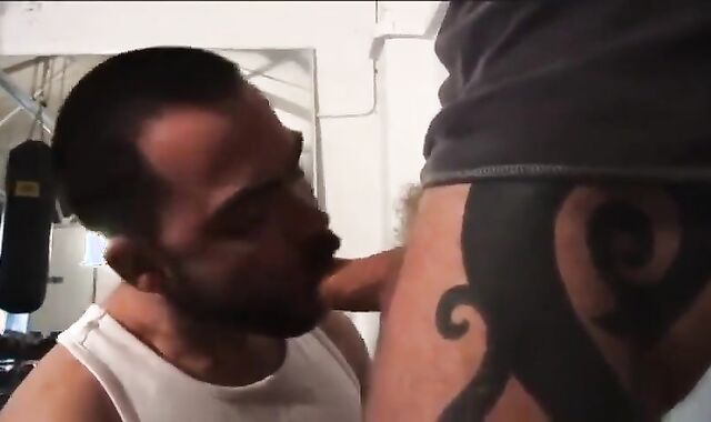 Dolan Cub And Rocco Banks (OOTH P1)