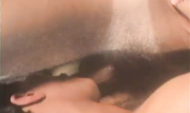 Bear senses in need of humping rigid