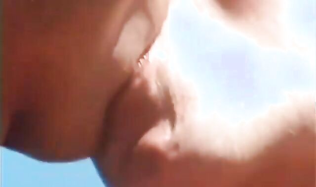 Bear senses in need of humping rigid