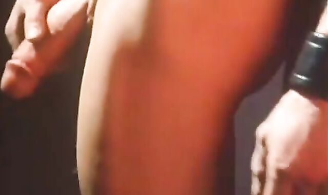 Bear senses in need of humping rigid