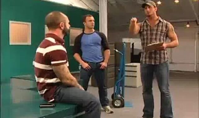 two Bears tearing up