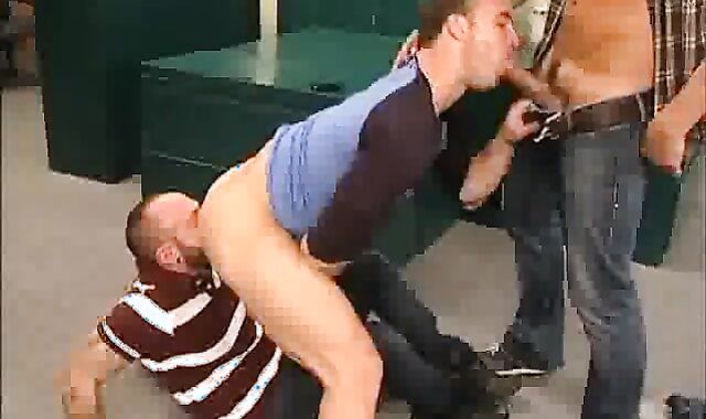 two Bears tearing up