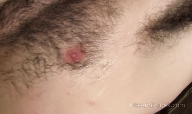 PitsAndPubes - Solo bear Dempsey Stearns extraordinary snuffling