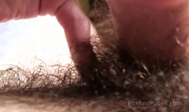 PitsAndPubes - Solo bear Dempsey Stearns extraordinary snuffling