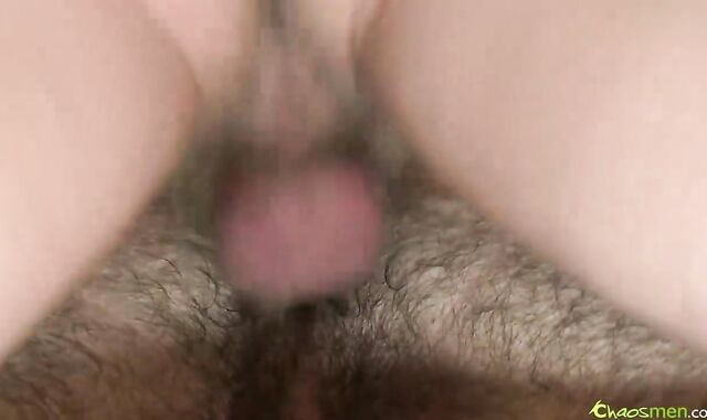 Three way Bear devour & pummel