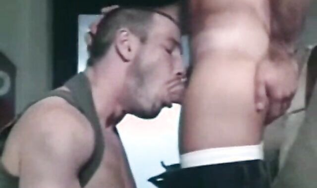 Client plow The Repairer