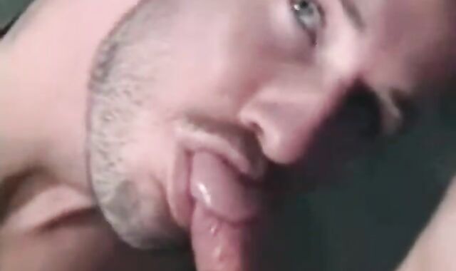 Client plow The Repairer