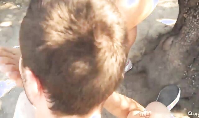 Steven F And David Rail