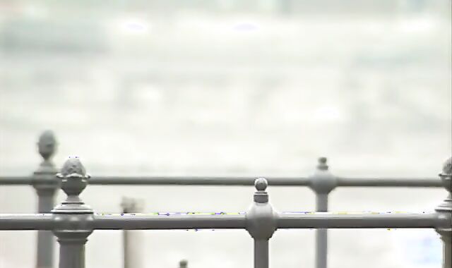 Camaradas Armados (total Film)