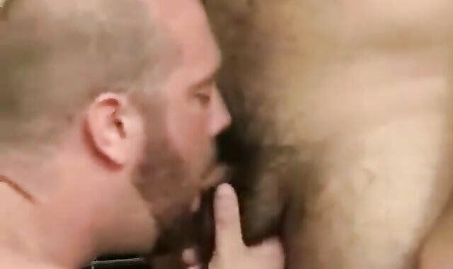 homosexual teddies having hook-up