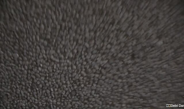 Debt Dandy: Fearful Arrogance Deflated