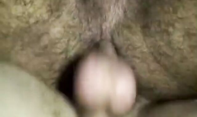 Yet another time greater quantity lascivious Bears plowing unprotected By -SiNN-