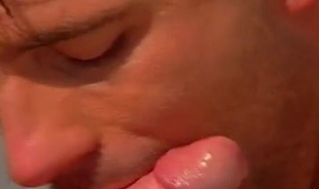 The Renato Bellagio Bevy - Gig