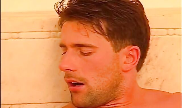 The Renato Bellagio Bevy - Gig