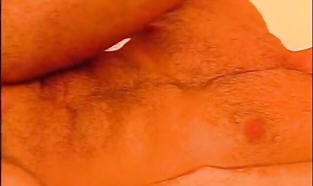 The Renato Bellagio Bevy - Gig