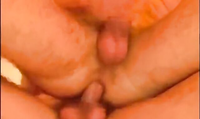 The Renato Bellagio Bevy - Gig