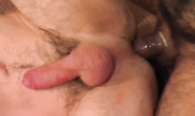 Stag - Scott Hunter And Adam Champion