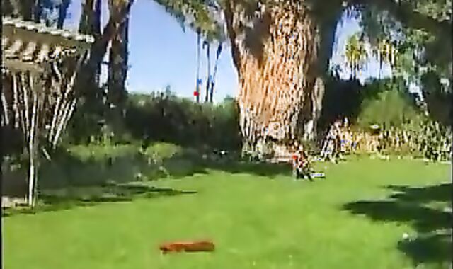 insatiable reasonably To Slurp