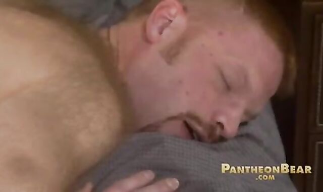 H0M B3@r Humping (F0rd H0ll@nd & K3g@n)