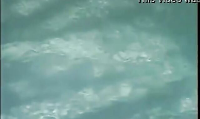 taught teenagers have a sheer pleasure their holidays